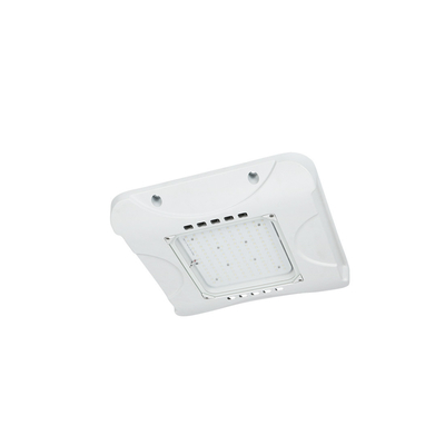 IP66 60W LED Canopy Light LED Canopy Retrofit voor tankstationverlichting