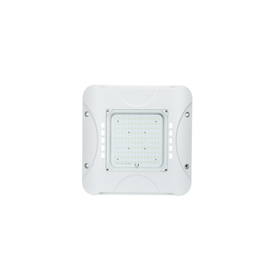 IP66 60W LED Canopy Light LED Canopy Retrofit voor tankstationverlichting